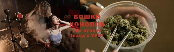 apvp Новозыбков